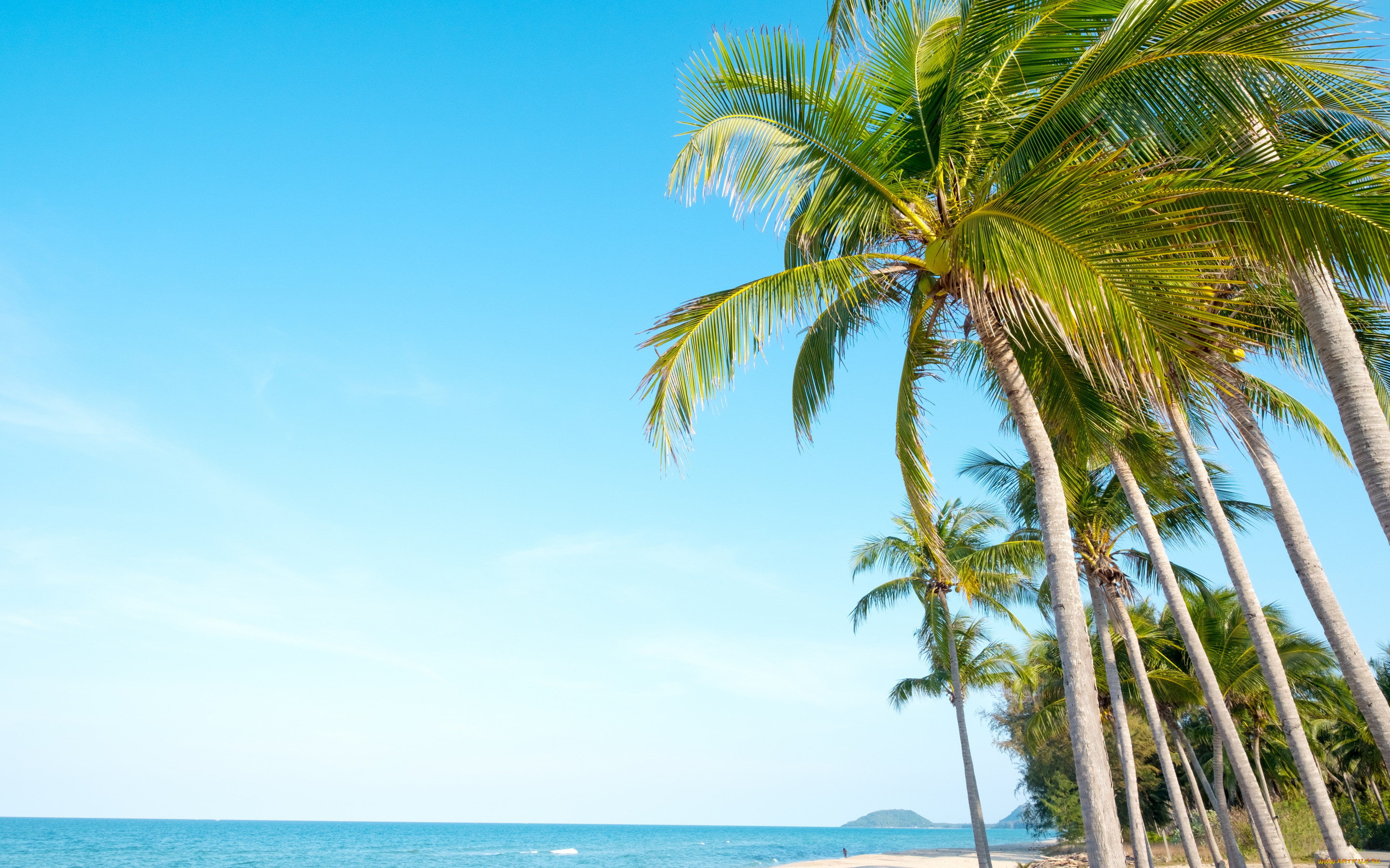 , , , paradise, , palms, beach, , , beautiful, , , sea, sand, seascape, , , summer, tropical